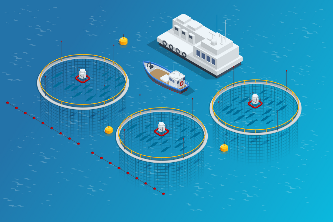 Advancements in Predator Proofing within Aquaculture