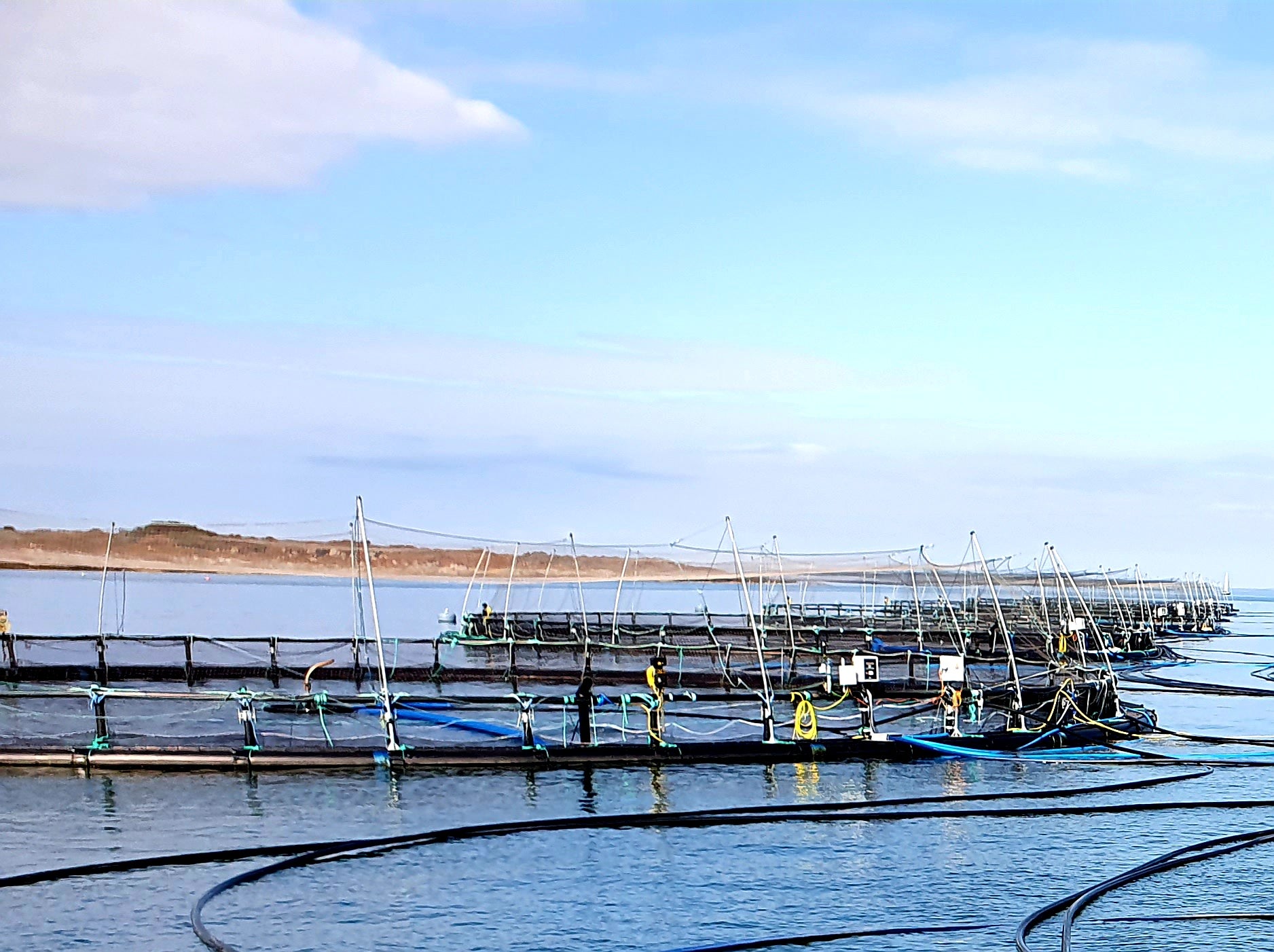 Aquaculture farm with floating nets and equipment on a calm body of water.