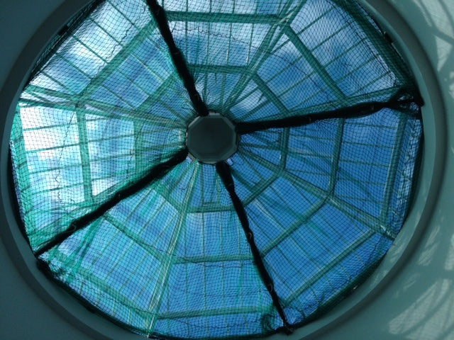 Glass dome window protected by fall arrest netting