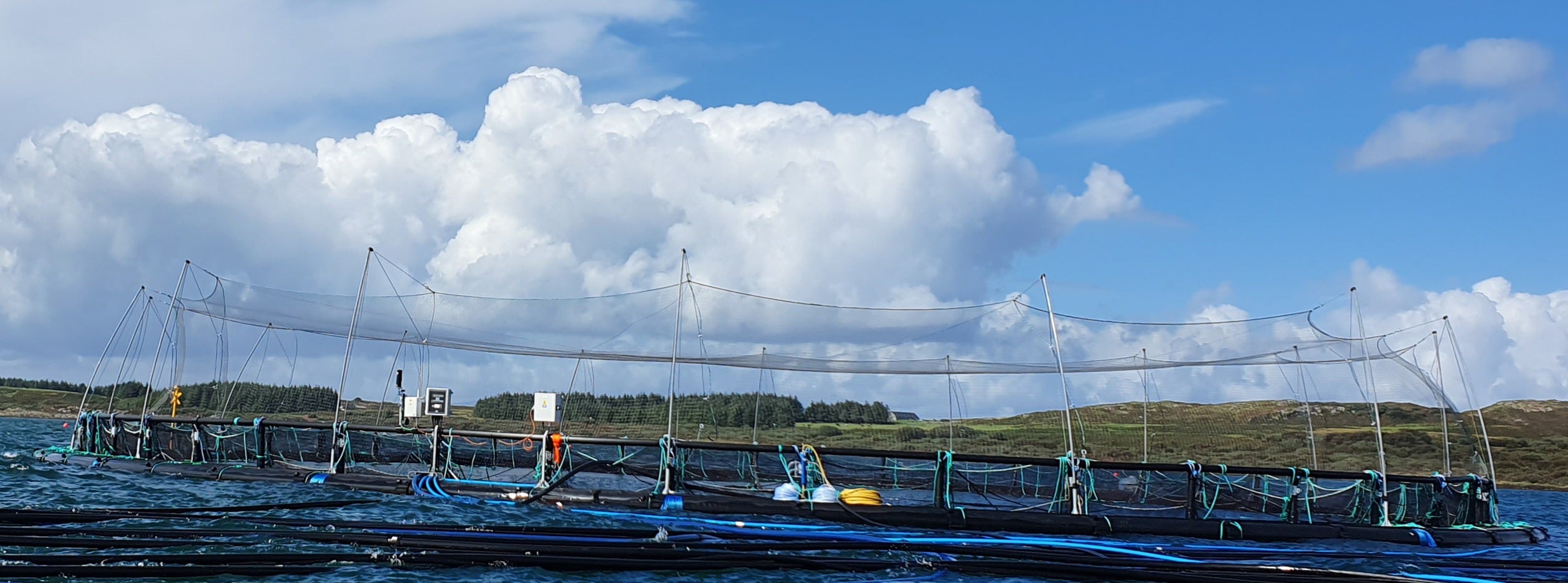 agriculture fish farm netting Lawaia Net Cage Fish Breeding Cage with Cover Crayfish Network Stake Net Pond Fish Farming Aquaculture Small Mesh (1 * 1 * 1) : Sports & Outdoors Aquaculture Netting UK | Sea