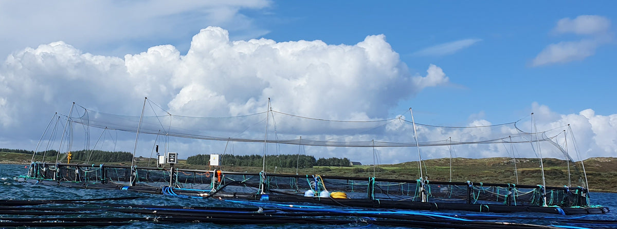 Aquaculture Netting UK | Sea Cages, Fish Farm & Predator Nets | Boris ...
