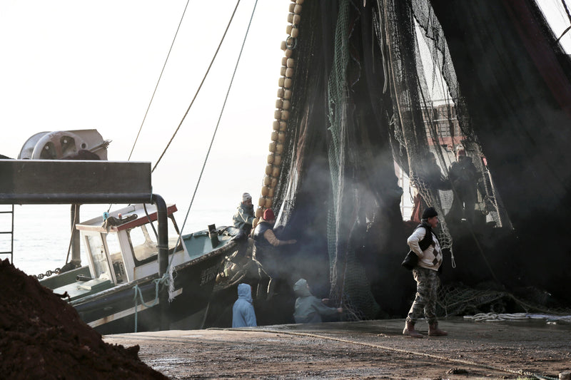 fishing trawl nets being lifted on maritime port/dock