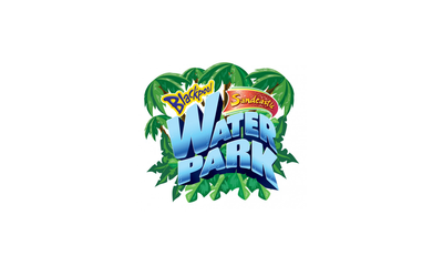 Logo of a water park with palm leaves on a white background